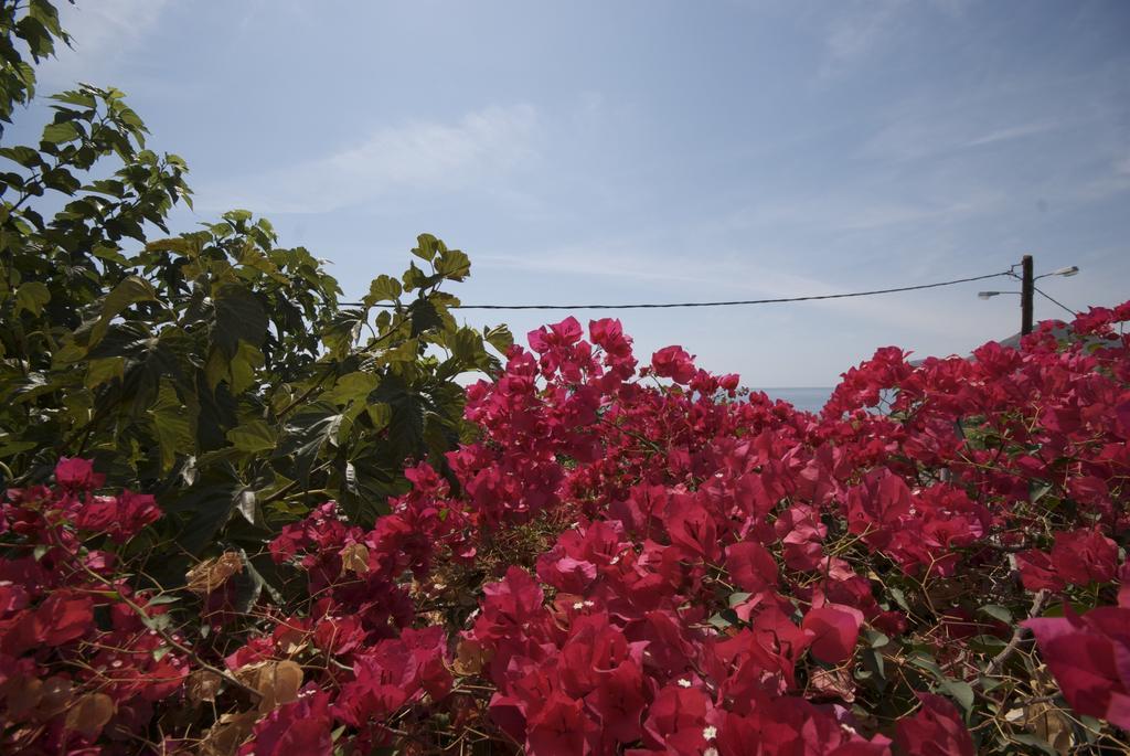 Sarikampos Beach ミルトス エクステリア 写真